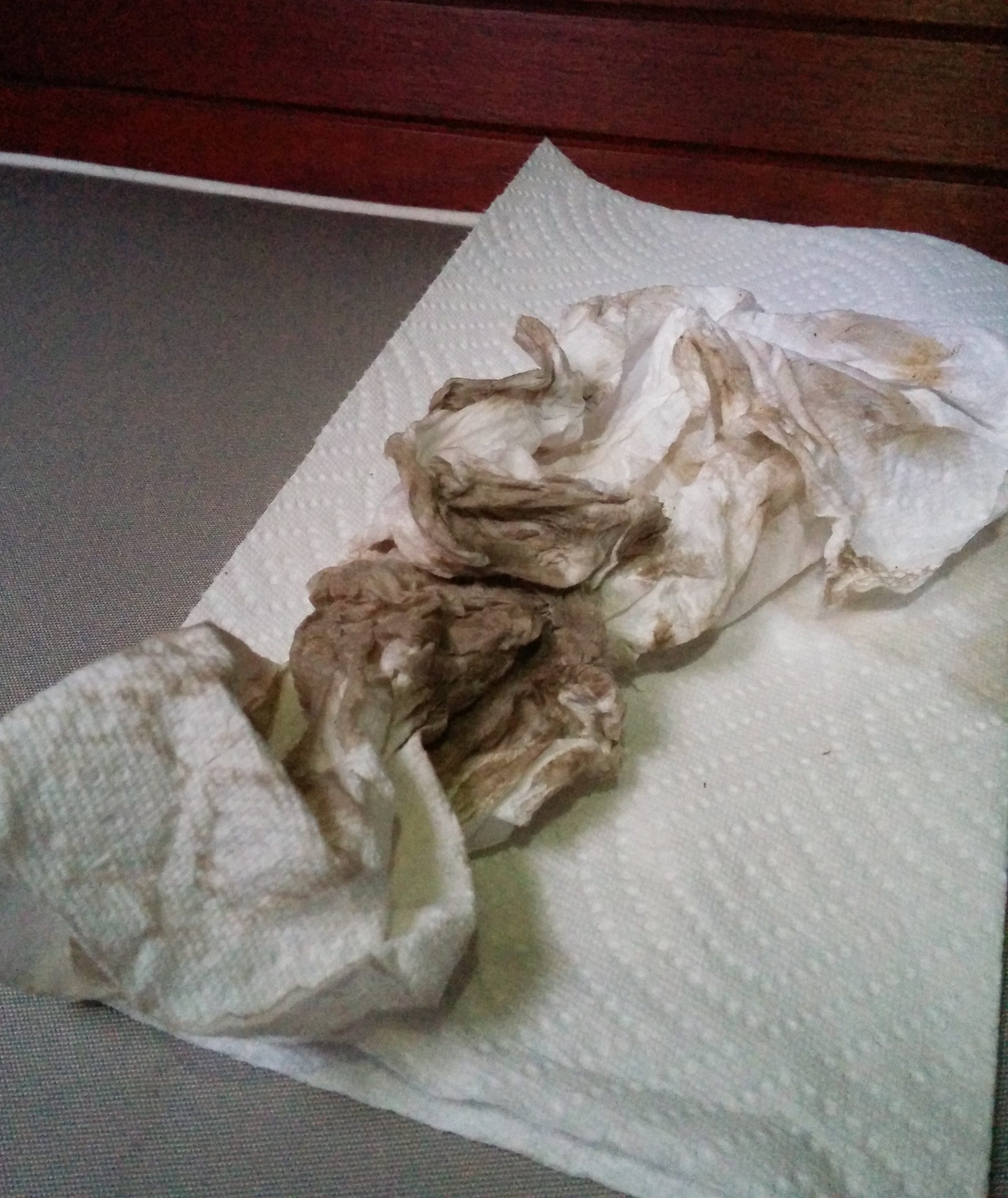 Paper towels after scrubbing mold washed with a bleach water solution