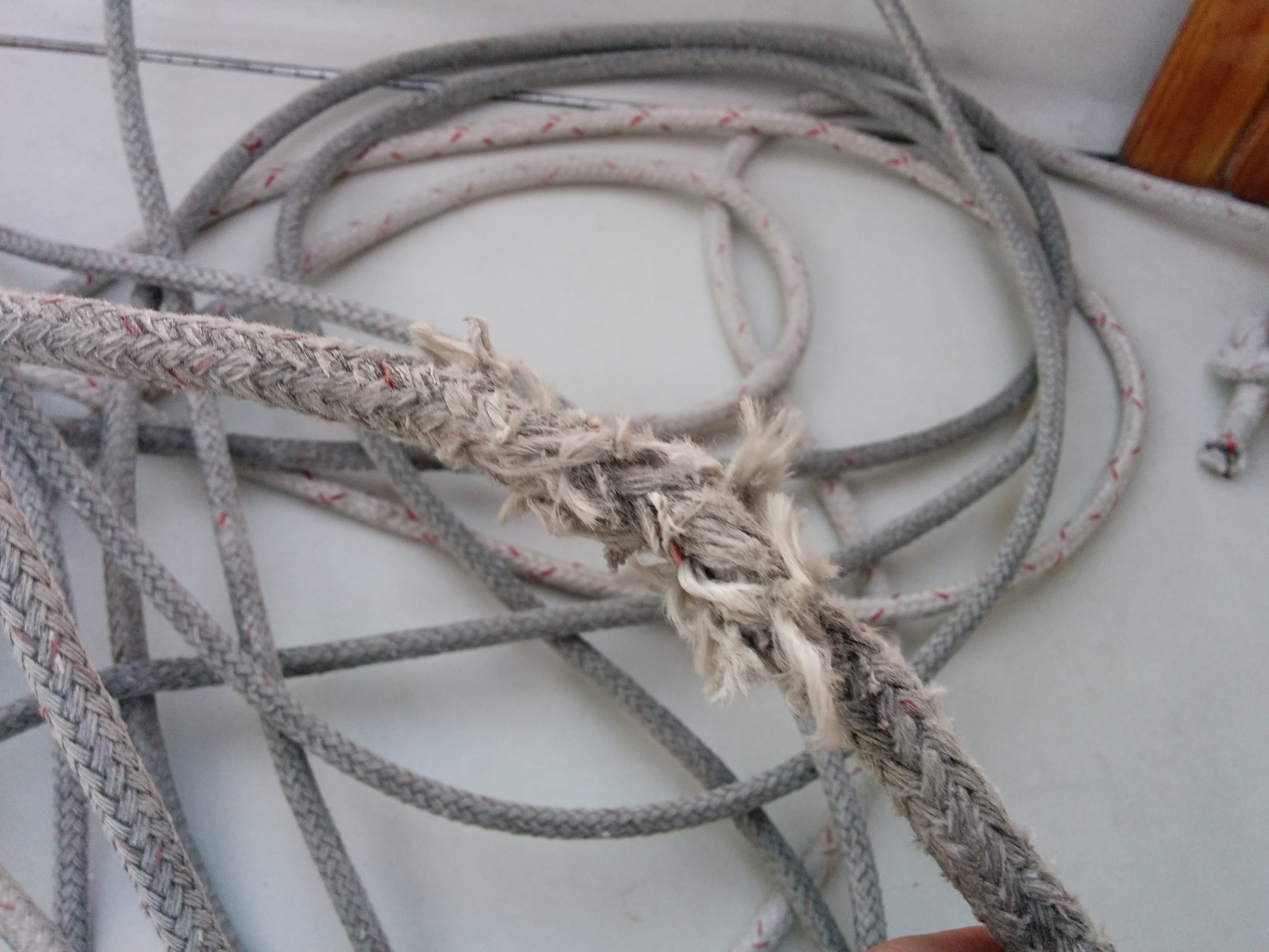 Frayed spinnaker halyard - glad I replaced this!