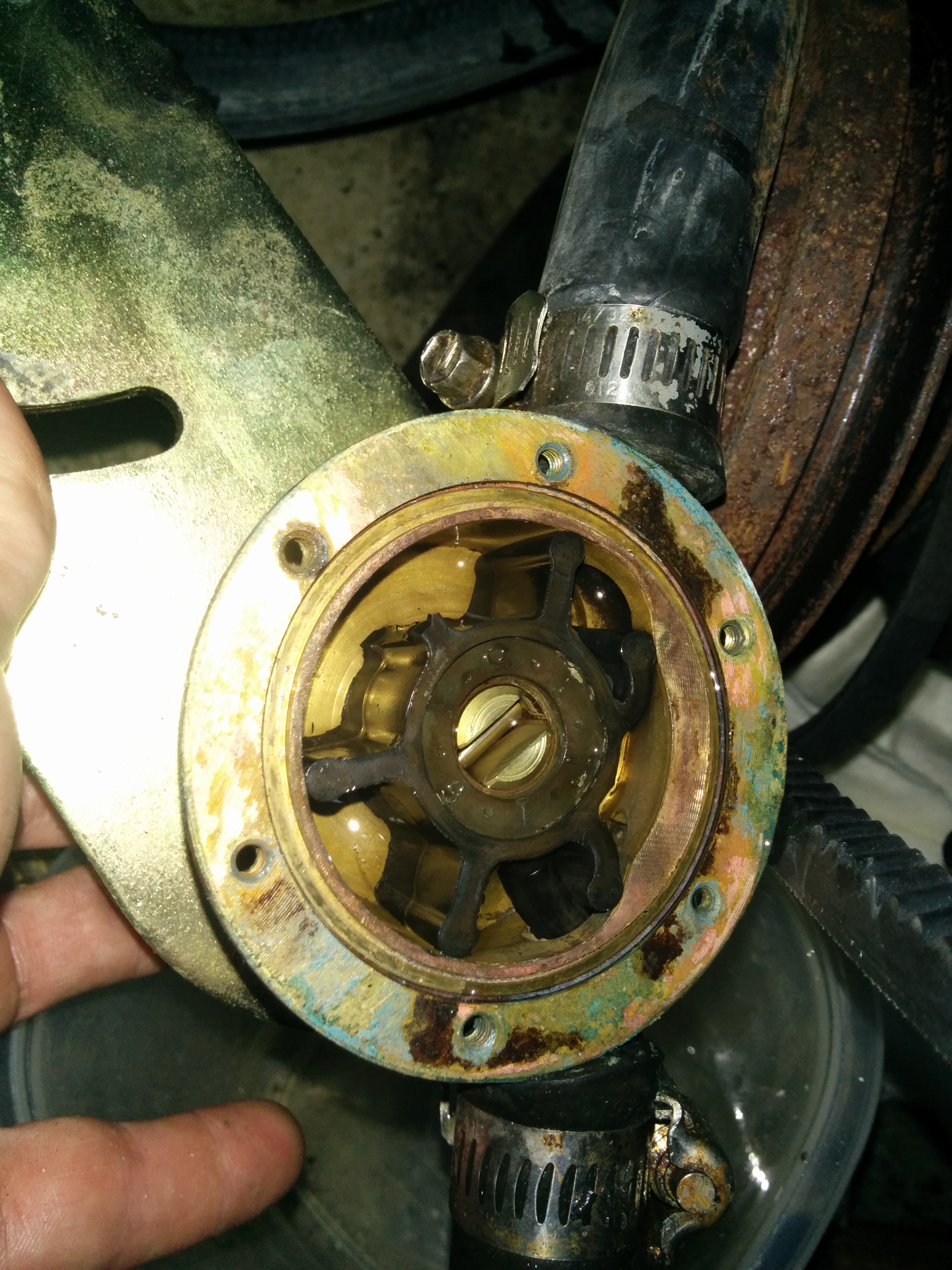 This is why you always check your raw water impeller after buying a boat - broken vane!